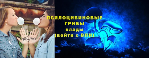 сатива Алзамай