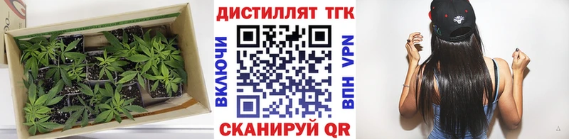 как найти закладки  Осташков  ТГК гашишное масло 